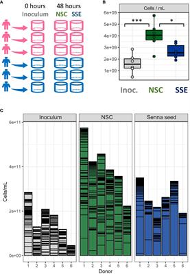 Targeted remodeling of the human gut microbiome using Juemingzi (Senna seed extracts)